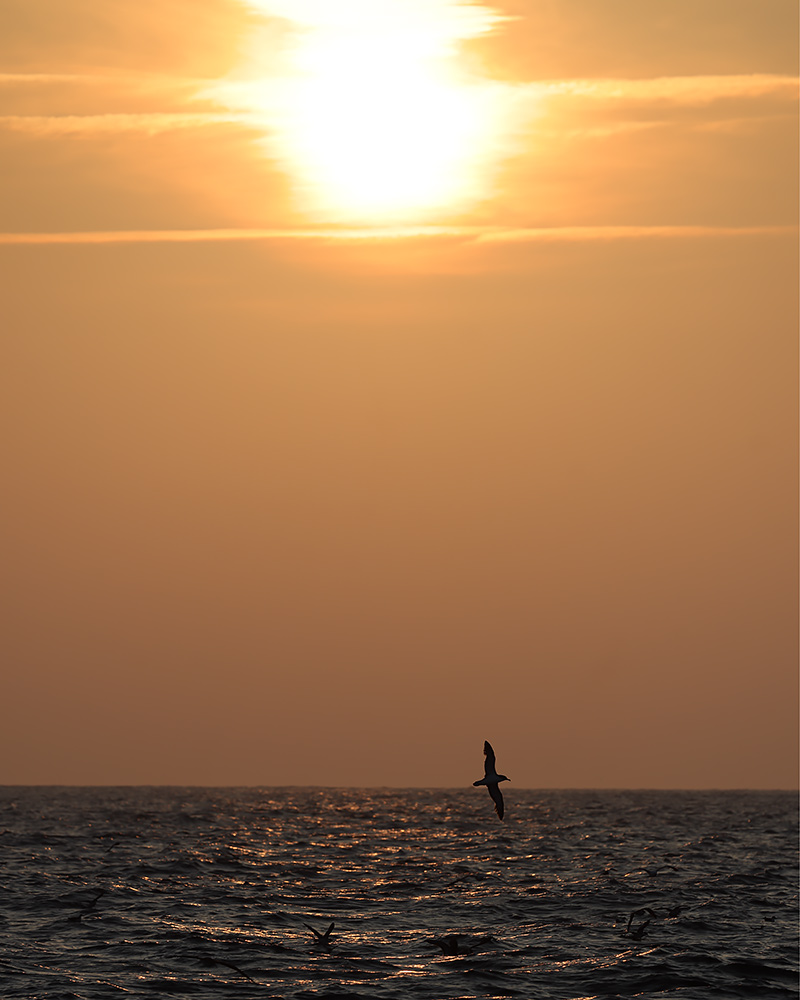 Sundown